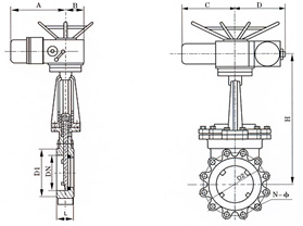 z45-1.jpg